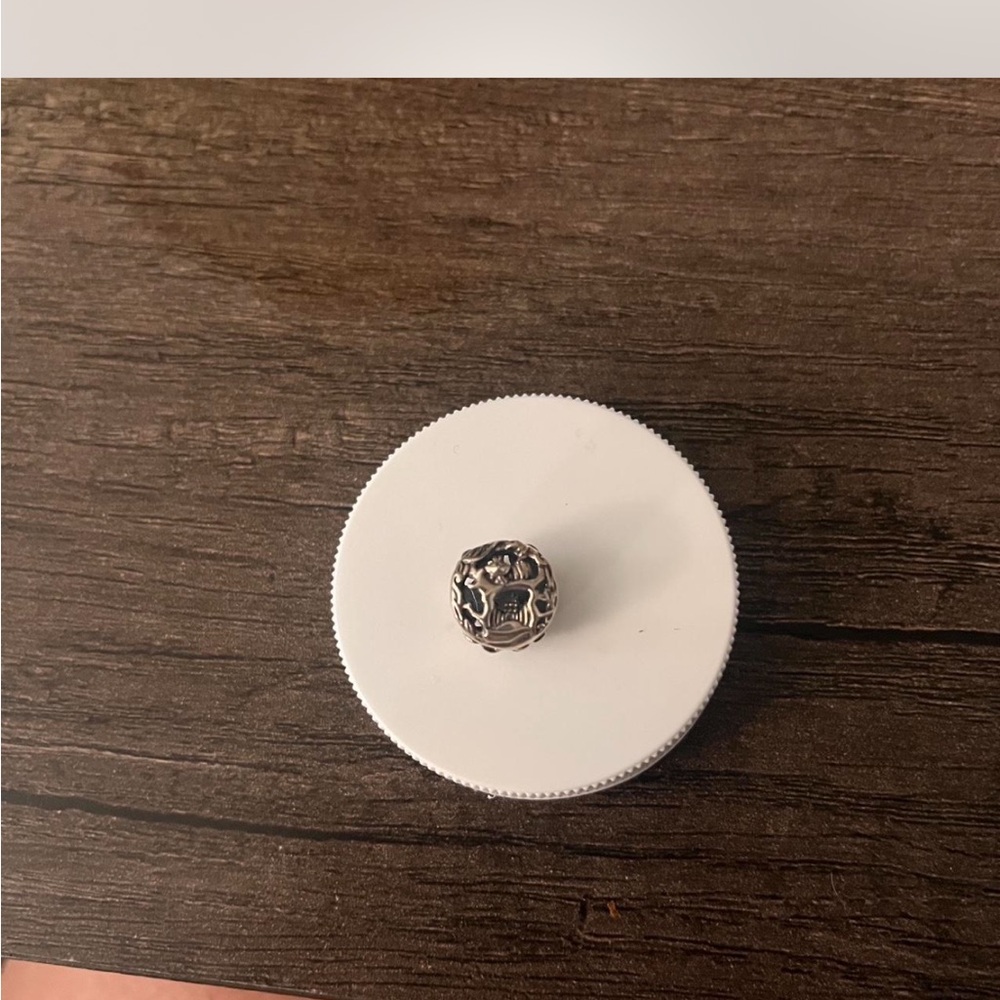 Alice in Wonderland Pandora Charm